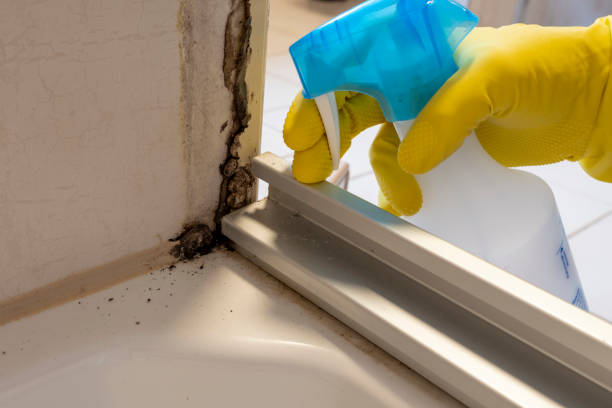 Best Crawl Space Mold Removal  in Orangeville, UT