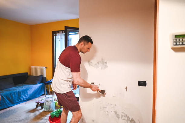 Mold Removal and Inspection in Orangeville, UT