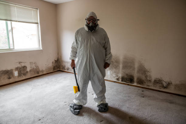 Home Mold Removal in Orangeville, UT