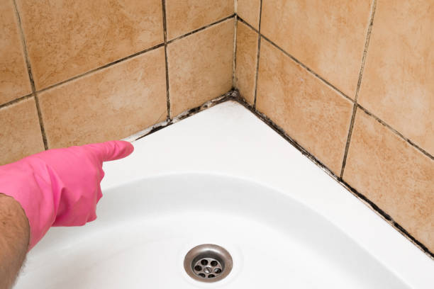 Best Mold Testing  in Orangeville, UT